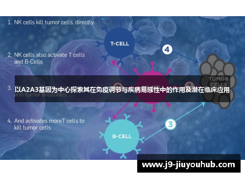 以A2A3基因为中心探索其在免疫调节与疾病易感性中的作用及潜在临床应用